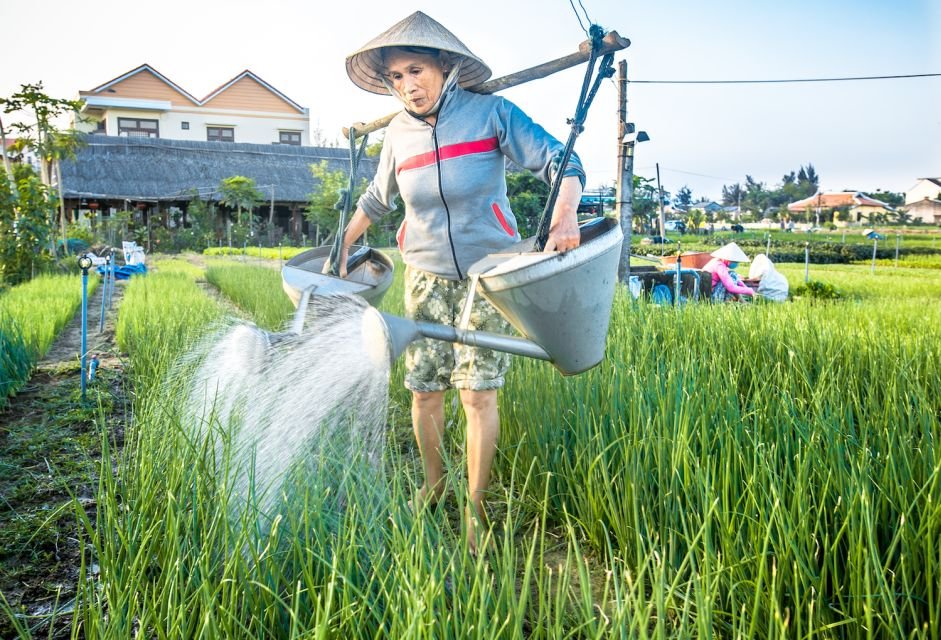 Hoi An Bicycle Tour 1 Day Tra Que Village